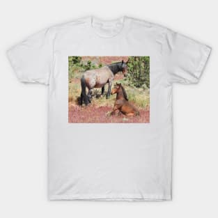 Wild horses, mustangs, wildlife, Precious Moment T-Shirt